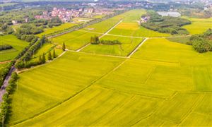 農村社會養老保險行業發展趨勢及市場現狀分析