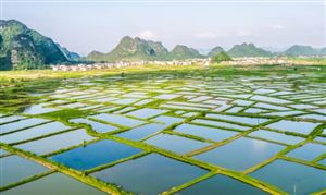 2023生態農業行業發展前景 生態農業發展空間將得到進一步深化發展