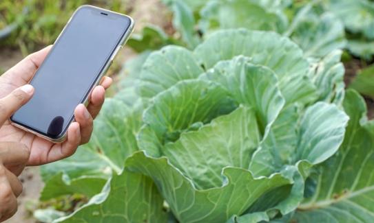 中國互聯網+現代農業行業市場發展現狀