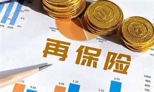 2023再保險發展研究 上海再保險“國際板”再次邁出實質性步伐