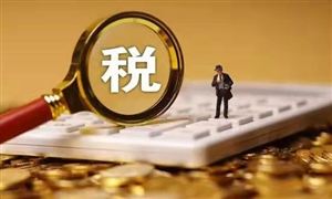 可持續發展的綠色稅制 稅務信息化已成為必然趨勢