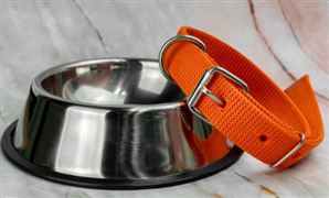 寵物用品市場發(fā)展現(xiàn)狀調(diào)查及競爭格局分析2023