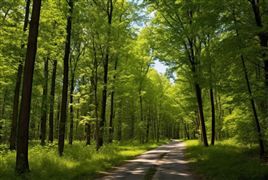 多家紙企發布漲價函 造紙行業整體業績有望逐季改善