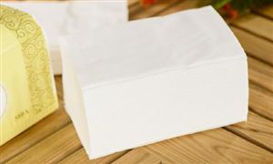 紙巾行業細分市場數據分析 濕廁紙成濕巾用品中表現較好的一大增長類目