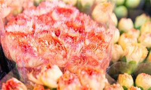 鮮切花消費向高頻化日常化方向發展 2023鮮切花行業市場前景分析