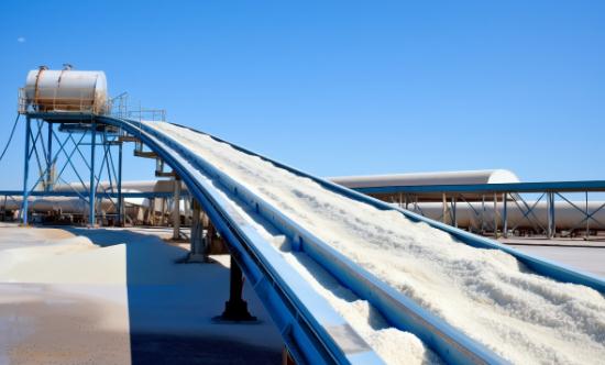 工業鹽市場調查與工業鹽市場現狀分析2023