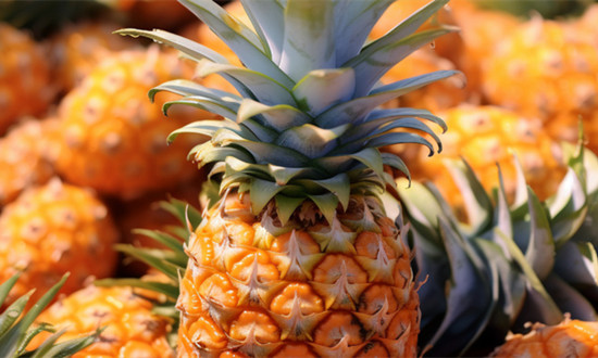 菠蘿行業分析：國際市場需求增長 馬來西亞菠蘿產量去年首超榴蓮