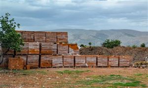 2023年建筑陶瓷行業市場現狀深度調查分析及行業展望