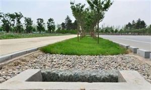 2023海綿城市行業發展分析：大數據、物聯網賦能海綿城市高效發展