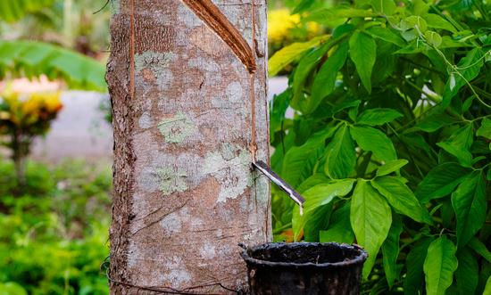 合成橡膠行業市場深度調研與市場趨勢預測