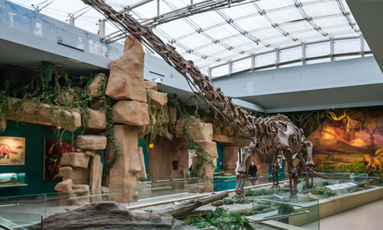 博物館旅游行業現狀：中秋國慶雙節期間 全國博物館接待觀眾總量達6600萬人次