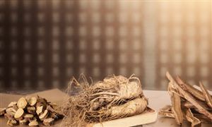 藥膳行業發展機遇深度分析2023