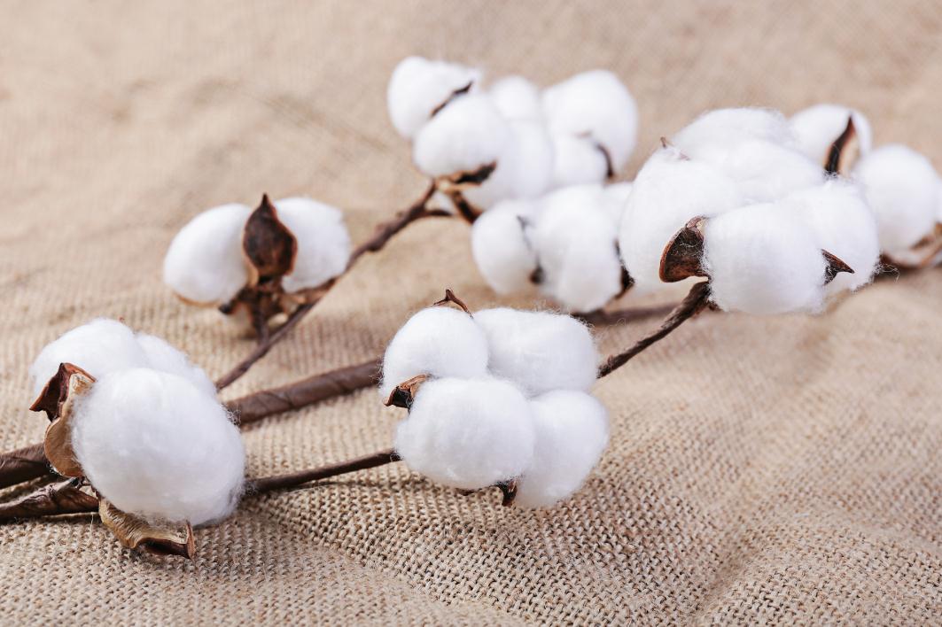 2023我國化學纖維產(chǎn)量呈現(xiàn)較快增長態(tài)勢