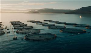 “海鮮陸養”成為水產養殖的新方向 水產消費新業態推動行業快速增長