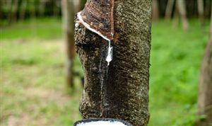 中國合成橡膠行業市場深度調研 我國高性能液體橡膠實現國產化