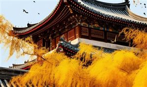 古建筑產(chǎn)業(yè)市場調(diào)研 古建筑產(chǎn)業(yè)未來發(fā)展趨勢預(yù)測