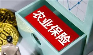 中國農(nóng)業(yè)保險(xiǎn)行業(yè)市場(chǎng)深度分析：農(nóng)業(yè)保險(xiǎn)呈現(xiàn)穩(wěn)中向上的良好發(fā)展態(tài)勢(shì)