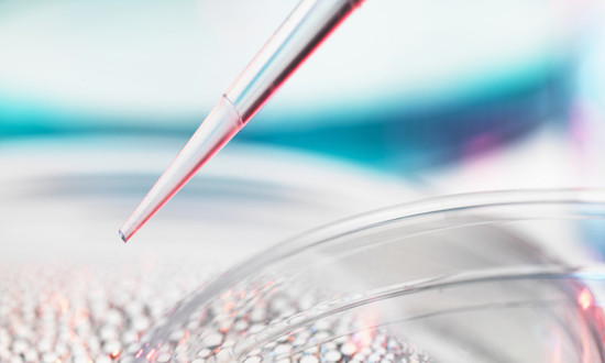 生物發酵行業發展現狀機遇深度分析2023