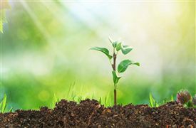 2023綠色建材產品營收同比增長20%以上