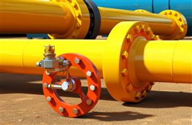 我國生物質能發展空間前景 “十四五”生物經濟發展規劃