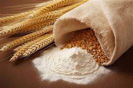 2023我國烘焙食品行業(yè)的生產規(guī)模擴大