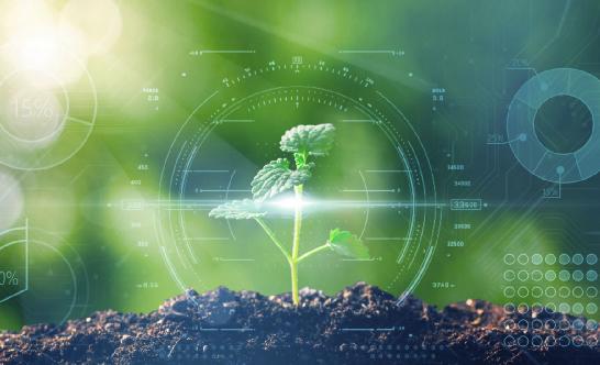 農作物種子行業(yè)發(fā)展現(xiàn)狀分析 2022年國家農作物種業(yè)陣型企業(yè)資產總額突破600億元