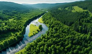 森林防火行業市場現狀深度調研分析2023