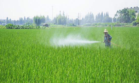 生物農(nóng)藥行業(yè)市場機(jī)遇分析 生物農(nóng)藥+化學(xué)農(nóng)藥引領(lǐng)植保市場未來