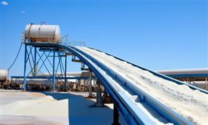 工業(yè)鹽市場發(fā)展現(xiàn)狀及未來趨勢預(yù)測分析