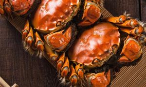 大閘蟹跌出“白菜價” 大閘蟹行業發展態勢