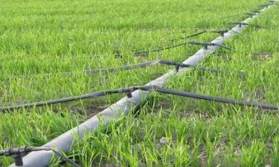 2023滴灌帶行業發展現狀分析及市場需求