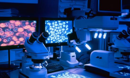 2024年中國精密光學儀器市場發展現狀調查分析