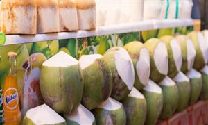 2023年椰子水行業市場數據深度調研