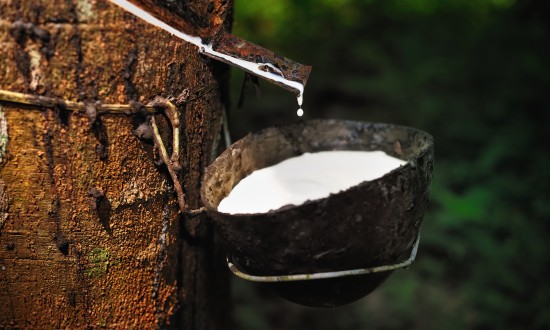 2023年國內天然橡膠行業發展現狀及趨勢分析