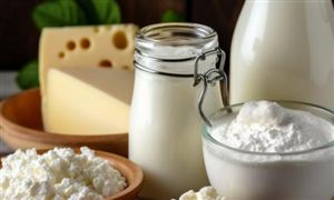 奶制品的現(xiàn)狀及發(fā)展態(tài)勢(shì)分析2024