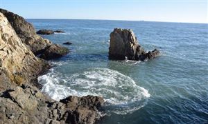 深海養(yǎng)殖行業(yè)分析：市場空間廣闊，加快發(fā)展深遠海養(yǎng)殖是大趨勢