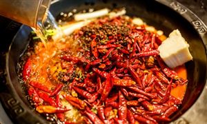 2024年中國火鍋底料行業市場現狀及發展趨勢