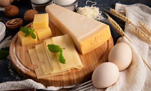 奶酪行業(yè)深度分析 預(yù)計(jì)2023年國內(nèi)奶酪需求量有望達(dá)到33.19萬噸