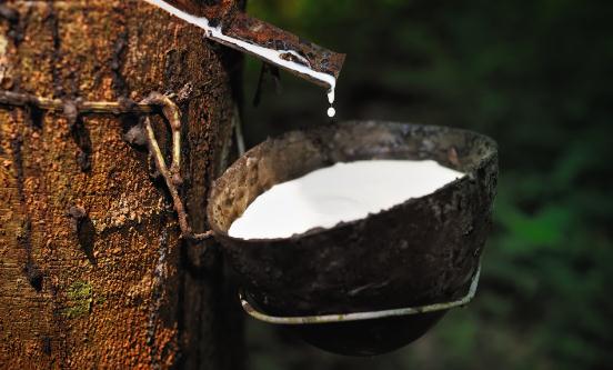 財政部：實施天然橡膠綜合保險政策 2023天然橡膠行業發展狀況