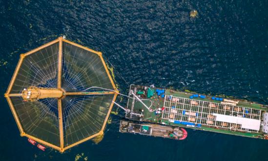 2024海洋新能源行業深度調研：海洋油氣與新能源融合發展將成為熱點方向