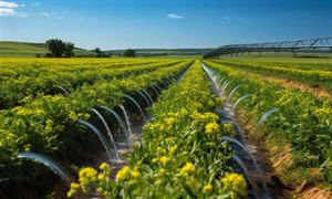 2024節(jié)水灌溉行業(yè)市場(chǎng)分析 加快《全國(guó)農(nóng)田灌溉發(fā)展規(guī)劃》編制 