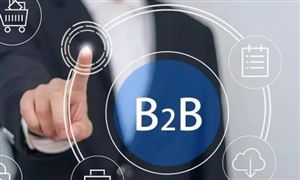 2024B2B電子商務行業深度分析及發展模式