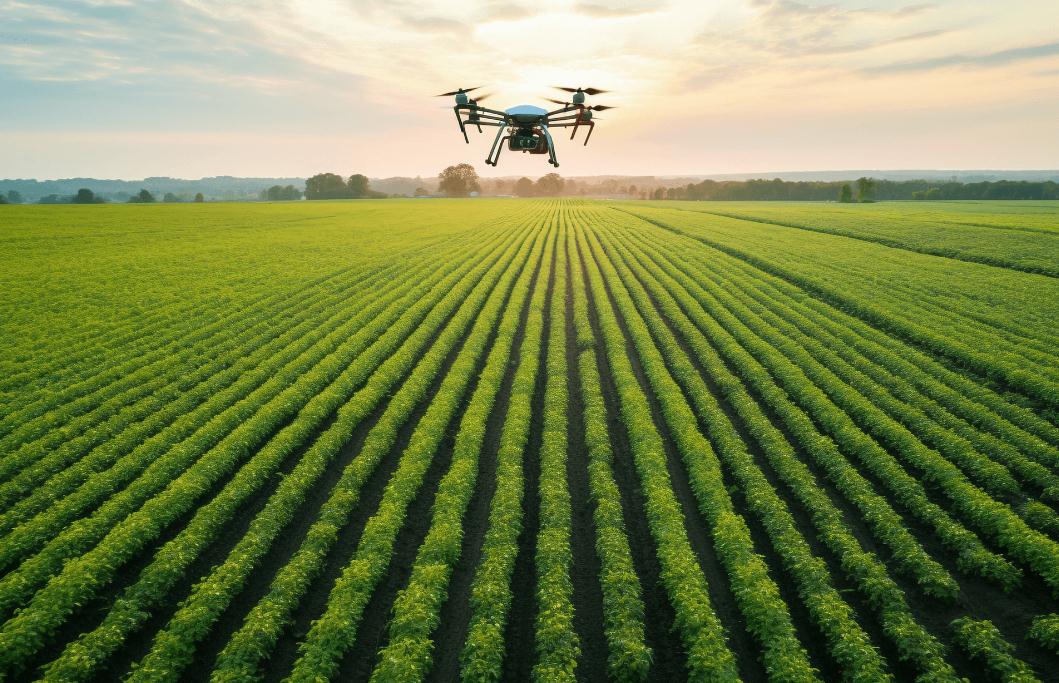 2030設施蔬菜產量占比提高到40% 全國現代設施農業建設規劃