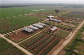 2023我國農(nóng)業(yè)節(jié)水灌溉發(fā)展現(xiàn)狀 我國農(nóng)業(yè)用水總量基本維持穩(wěn)定