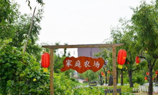 家庭農場行業發展現狀分析及市場環境