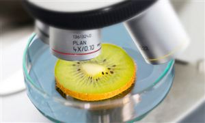 農藥殘留檢測儀行業市場需求及發展分析