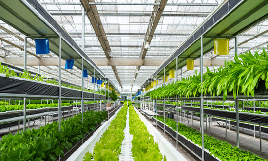 2024中國農業信息化行業投資前景機遇分析