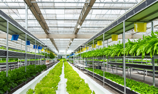 我國農(nóng)資行業(yè)市場規(guī)模已達(dá)萬億元級 農(nóng)資行業(yè)未來發(fā)展策略分析