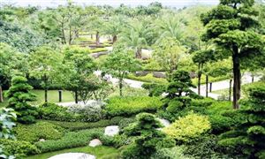 園林規劃行業現狀分析與機會：園林設計規劃需求不斷增加