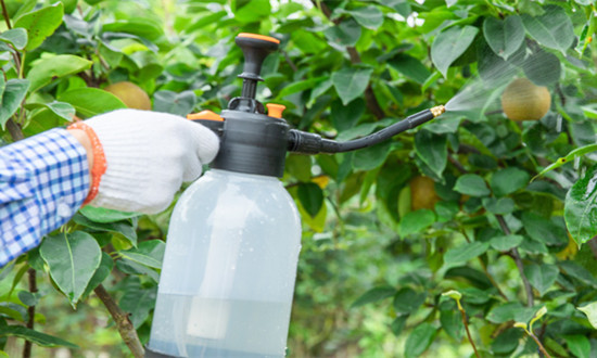 生物農(nóng)藥具備極大的發(fā)展空間 生物農(nóng)藥行業(yè)市場投資前景分析